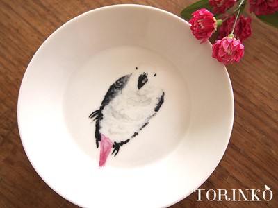 「色とりどりの小鳥のお皿」小鳥の持つ愛らしいフォルム、インコ特有の鮮やかな色彩のお皿がかわいい!