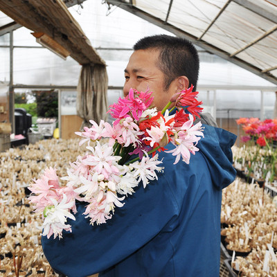 本日11 07 6日間限定販売 貴重な花弁が輝くダイアモンドリリー 横山園芸 東京都 Base Mag