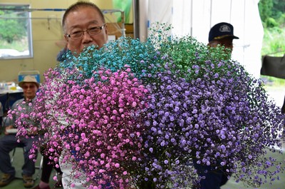 お花のつくり手 応援 福島県昭和町の かすみ草 をお届け Base Mag