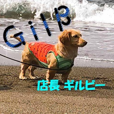 ショップGilb店長のギルビーです。 工場休業における、配送について