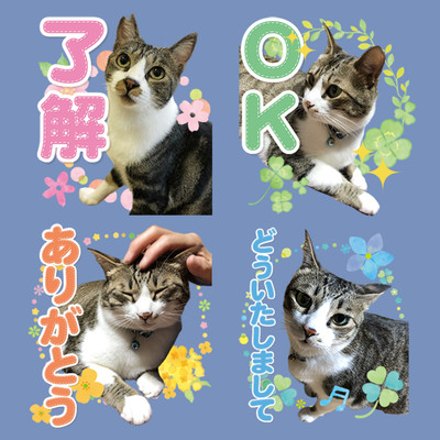 大好きなペットをlineスタンプに Base Mag 大好きなペットをlineスタンプに Base Mag