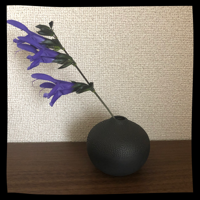 お花を生けるのが楽しくなる モノトーンのインテリアに映える一輪挿しのご紹介です Base Mag