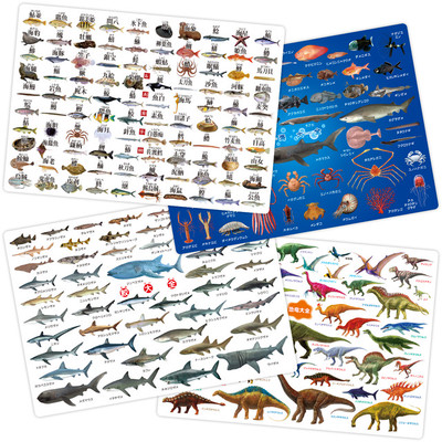大全下敷き4種セット お魚の漢字や深海 鮫 恐竜など生物の勉強できます Base Mag