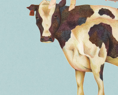 インスタで話題沸騰 色鉛筆で描かれた動物のパターン柄が目を惹く 手書き風ウォールペーパー Base Mag