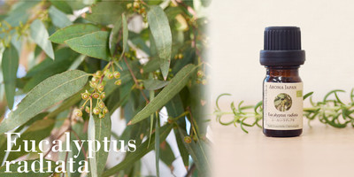 感染症が気になる季節にアロマオイルで予防 Base Mag