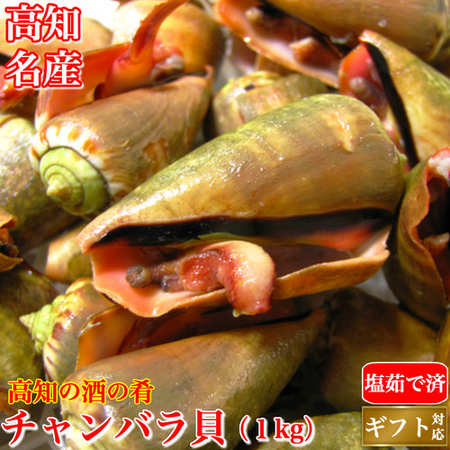 チャンバラ マガキ 貝 土佐カツオとうなぎの通販 高知の旬をお届けする 池澤鮮魚マリンオンラインショップ