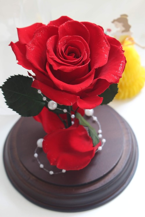 プロポーズ サプライズ 福岡のプリザーブドフラワー専門店 Rosejunoローズユノwebshop ネットショッピング