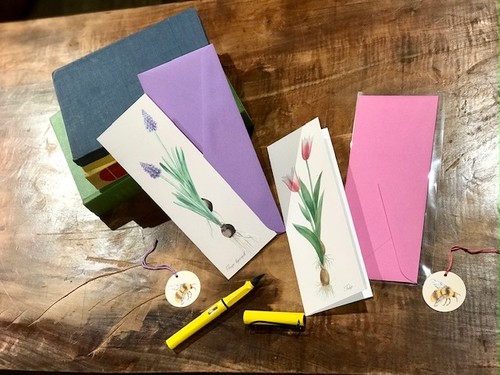 球根 チューリップ ムスカリ greeting card 球根 チューリップ ムスカリ greeting card