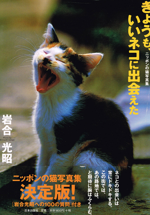 きょうも いいネコに出会えた 写真集 帯付き 猫本サロン 京都三条サクラヤ