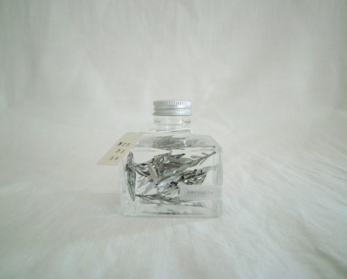 SB000024