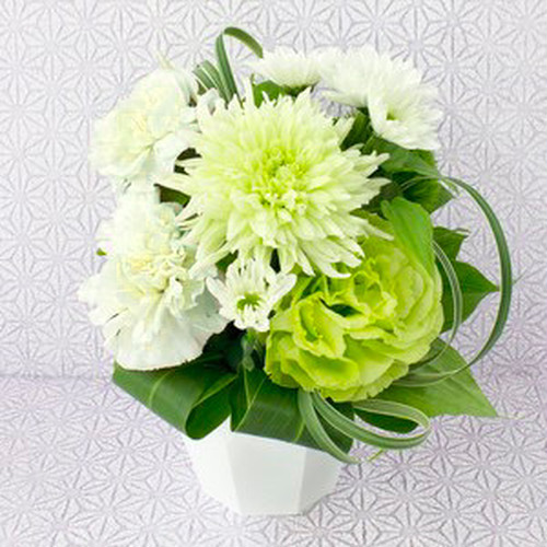 Fresh Flower 生花から選ぶ フラワーギフト専門店 Conoka Online Shop お花や観葉植物で記念日を彩る