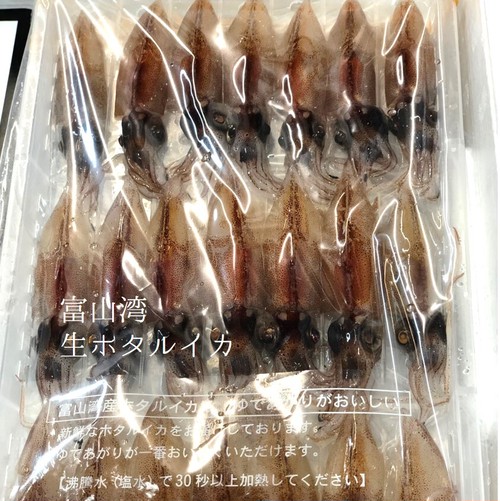 タコ イカ Okawari 豊洲直送の高級海産物をお届け