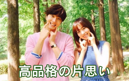 高品格の片思い 邦題 素敵な片想い Kandora Net Base 韓国ドラマ A専門店