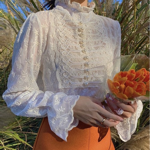 Napoléon sheer lace blouse 2c's Napoléon sheer lace blouse 2c's