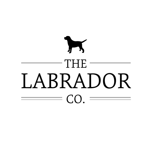 The Labrador Co ダックスフンド キーリング Labrador Retriever
