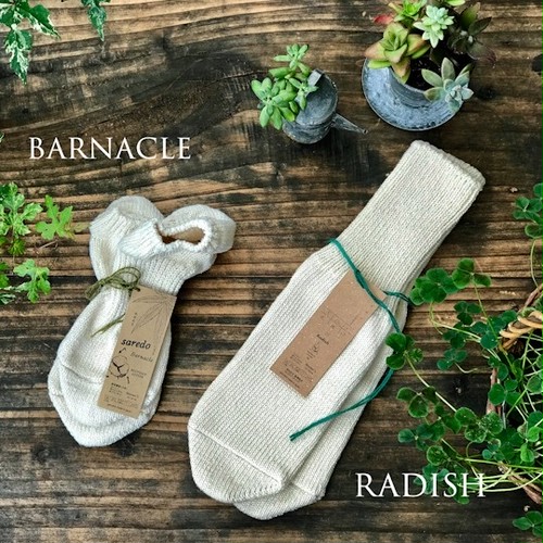saredo されど Barnacle とRadish (レディース) saredo されど Barnacle とRadish (レディース)