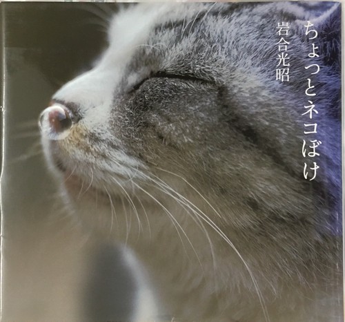 ちょっとネコぼけ 写真集 猫本サロン 京都三条サクラヤ