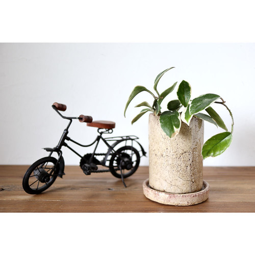 Sale 公式通販 直営店限定 レトロかわいい 動かせる精巧な自転車セット 21新発 Www Psic Org Pk