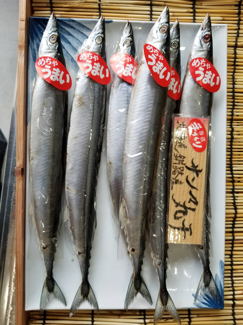 北海道釧路産サンマ丸干し8尾 Sakanatakuya