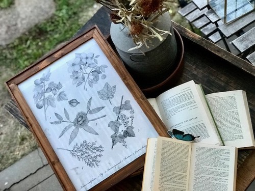 botanart ボタニカルポスター botanart ボタニカルポスター