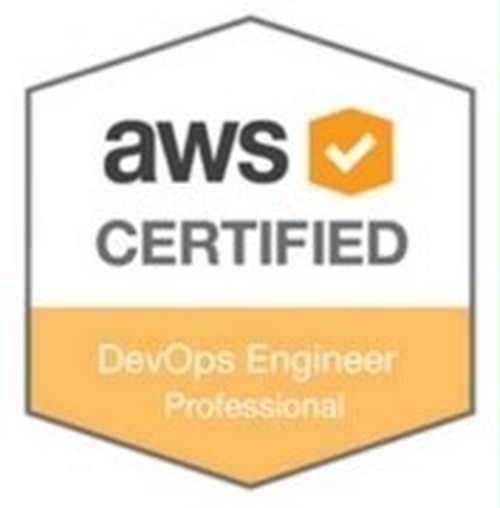 Exam AWS-DevOps-Engineer-Professional Price