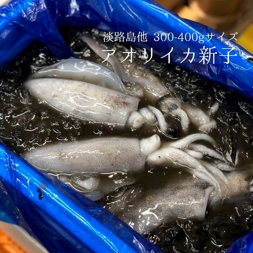 タコ イカ Okawari 豊洲直送の高級海産物をお届け