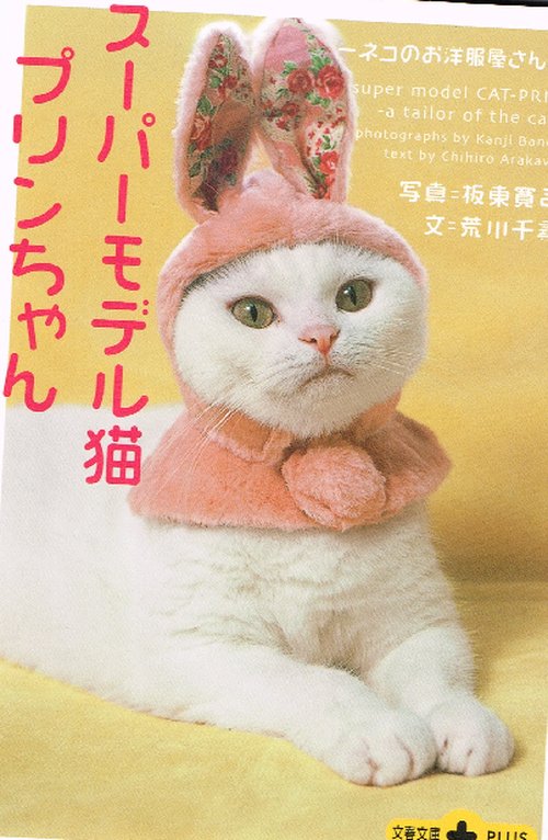 スーパーモデル猫プリンちゃん 文庫本 猫本サロン 京都三条サクラヤ