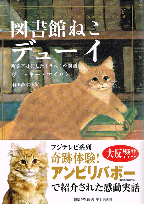 図書館ねこヂューイ 単行本 帯付き 猫本サロン 京都三条サクラヤ