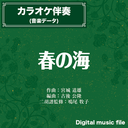 春の海 カラオケ伴奏 二胡向け ダウンロード版 二胡姫ミュージック