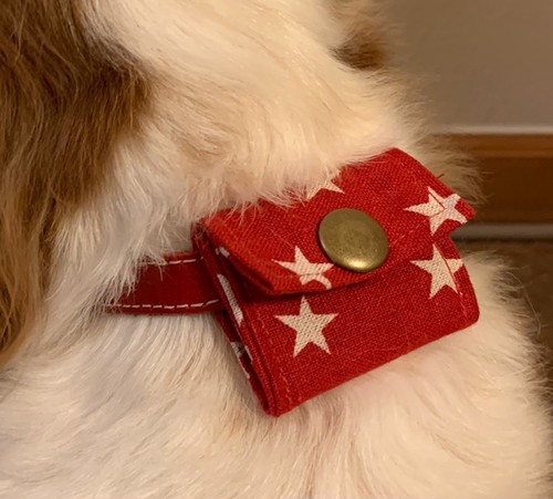 Sora オリジナル鑑札 注射標入れ マチなし Sora小さな命を救う会 公式チャリティショップ