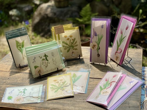 greeting card greeting card