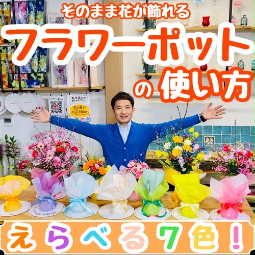 そのまま飾れる フラワーポット 7色から選べる いわい生花 Base店