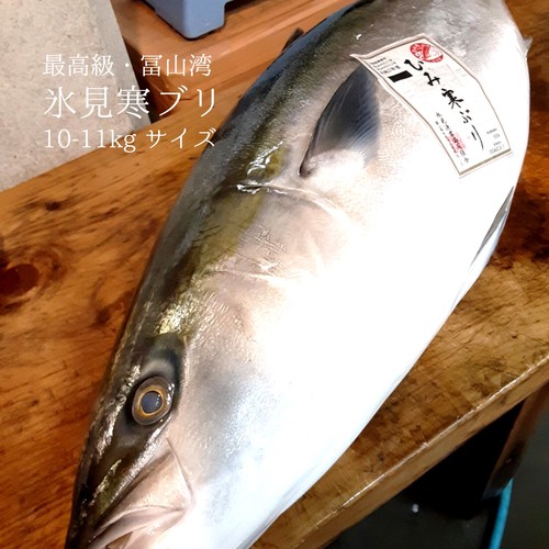 赤身 Okawari 豊洲直送の高級海産物をお届け