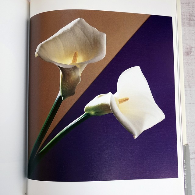 ロバート メイプルソープ Flowers メイプルソープの花 タイムカプセル