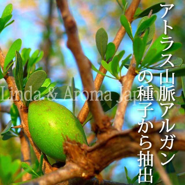 オーガニックアルガンオイル 植物油 10ml キャリアオイル Argan Oil アロマクラフト アロマオイル Aromajapan