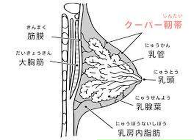 バストップケアは 日常生活に於いても下着の絞め付け 下着と皮膚の擦れ具合 アレルギー等 医学的な場合は 婦人科の医者へ Sitifukujin