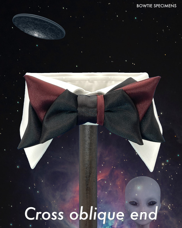 オブリークエンド形 ミックス形 蝶ネクタイ ブランド Bowtie Specimens