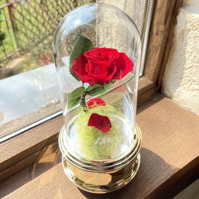 ブリザードフラワーオルゴール 河口湖 音楽と森の美術館 Online Shop