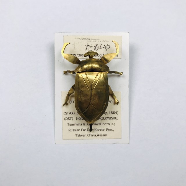 【たがや】 ブローチ「タガメ」