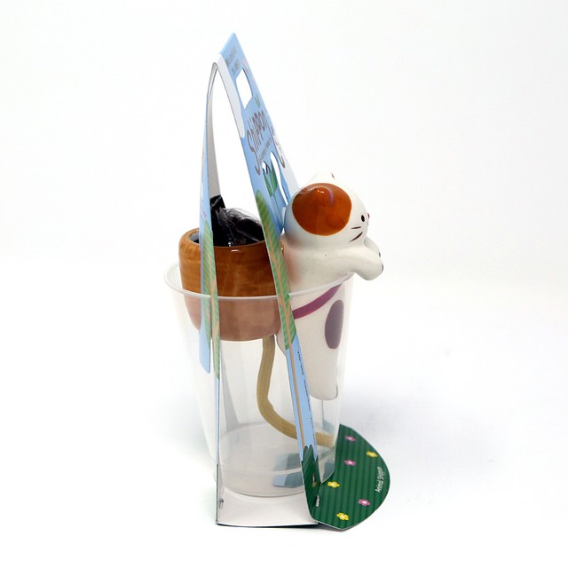 猫ワイルドストロベリー栽培キット しっぽん マスノヤ衣料品店 マスノヤ猫雑貨店