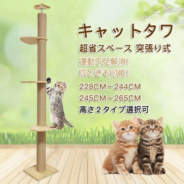 Raku 正規品 ねこ つめとぎ 段ボールベッド 猫 キャットハウス 多頭 大型猫 多用途 組み立て式 お昼寝台 猫用品 ベッド ダンボール つめとぎ ねこ 猫部屋 ストレス解消 運動不足改善 耐久性 耐磨耗性 四つ部屋型 えびすーjapan