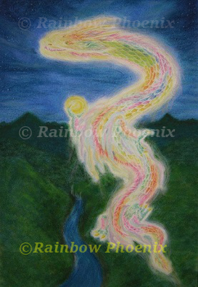 虹龍 レムリアの夜空に舞う ２lサイズ Rainbow Phoenix