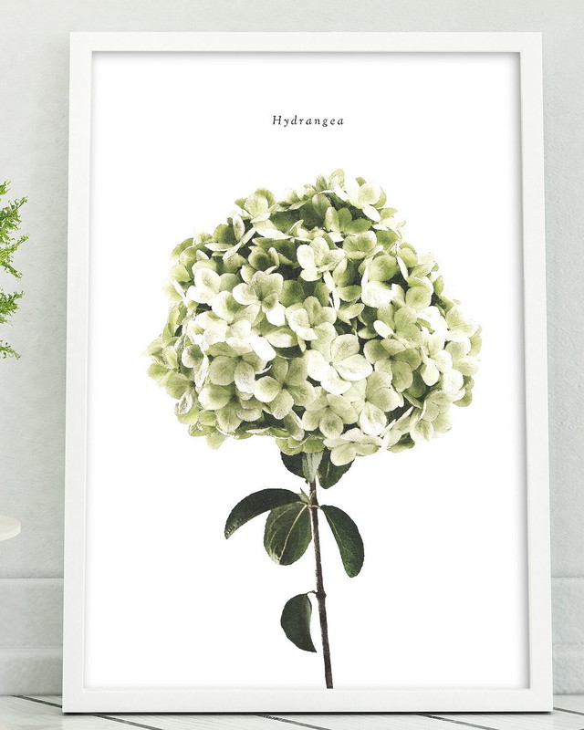 Botanical ボタニカル Eitribro エイトリブロ Online Shop 北欧インテリアのポスター通販専門店