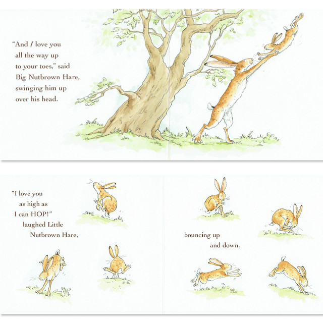 絵本好きのためのボードブック Bセット 3歳以上 英語絵本の わんこ英語books