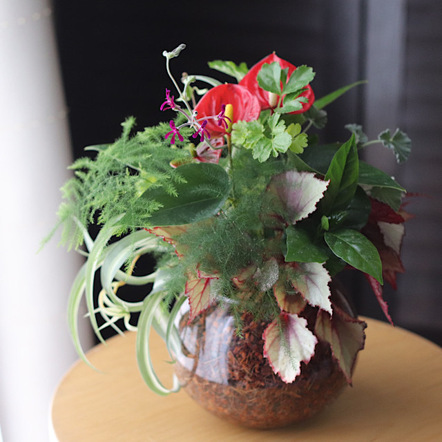 大人カラーのブリコラージュフラワーのお店 木花flower