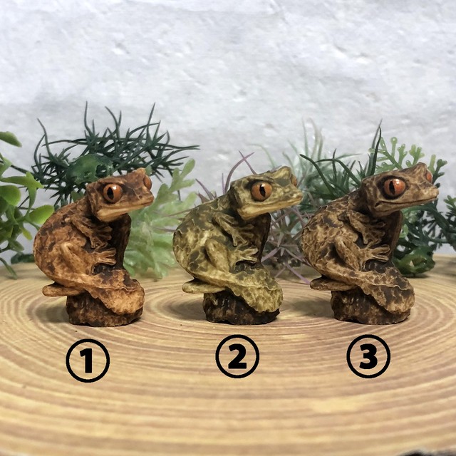 エダハヘラオヤモリ 真工房 Masakoubou