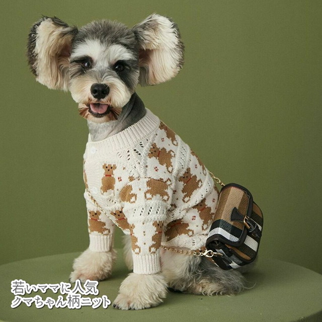 若いママに人気 クマちゃん ニット おしゃれ ペット服 小型犬服 ドッグウェア 犬服 カーディガン 普段着 人気柄 かわいい 小型犬のためのお店 Seasonz かわいいペットウェアの通販