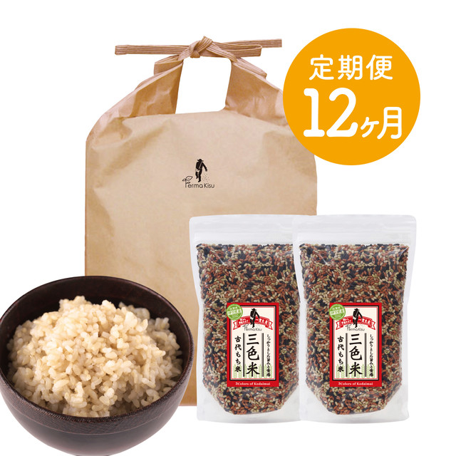 【定期便12ヶ月】玄米9kg・三色米500g×2 セット