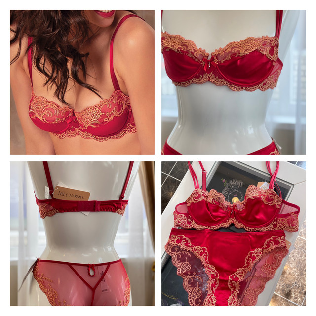 LISE CHARMEL シルクブラセット