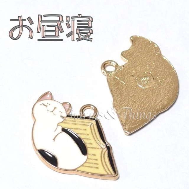 C T ネコ物語 本と猫 ねこの読書 チャーム 2個入り アクセサリーパーツ Sc2343 Charms Things